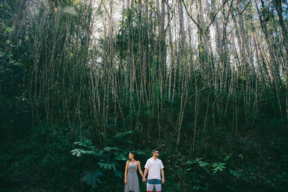 Maui Hawaii Engagement
