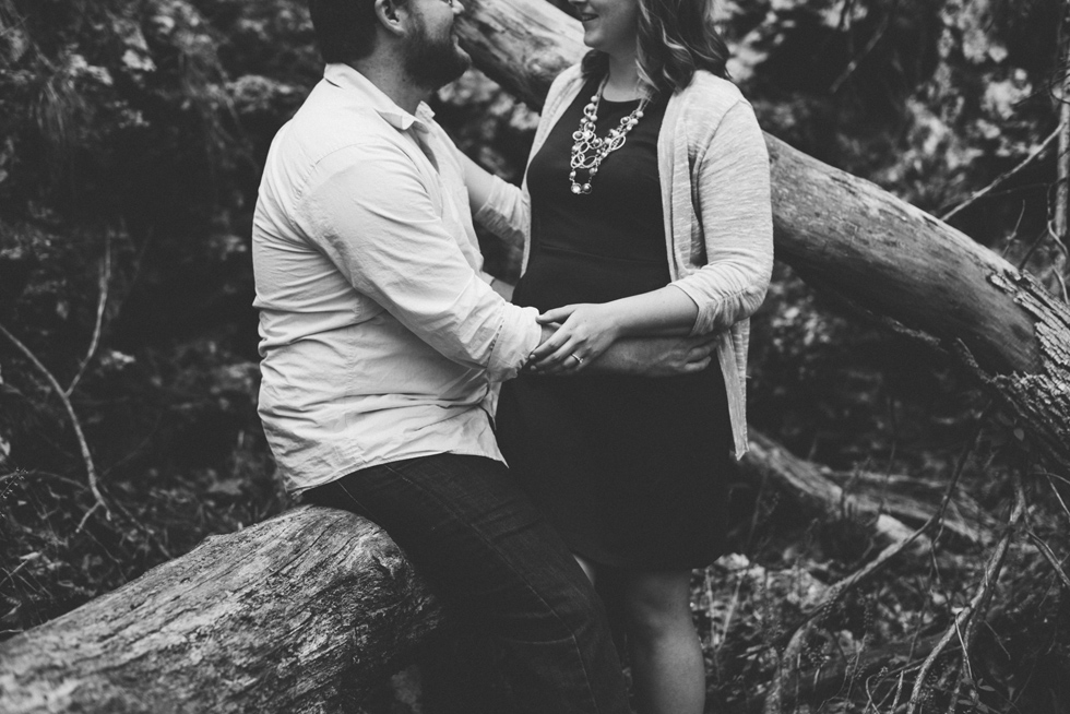 Natural Falls State Park Engagement