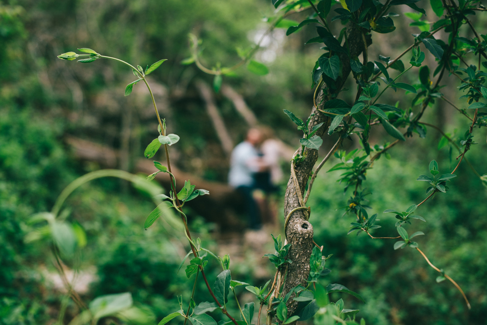 Natural Falls State Park Engagement
