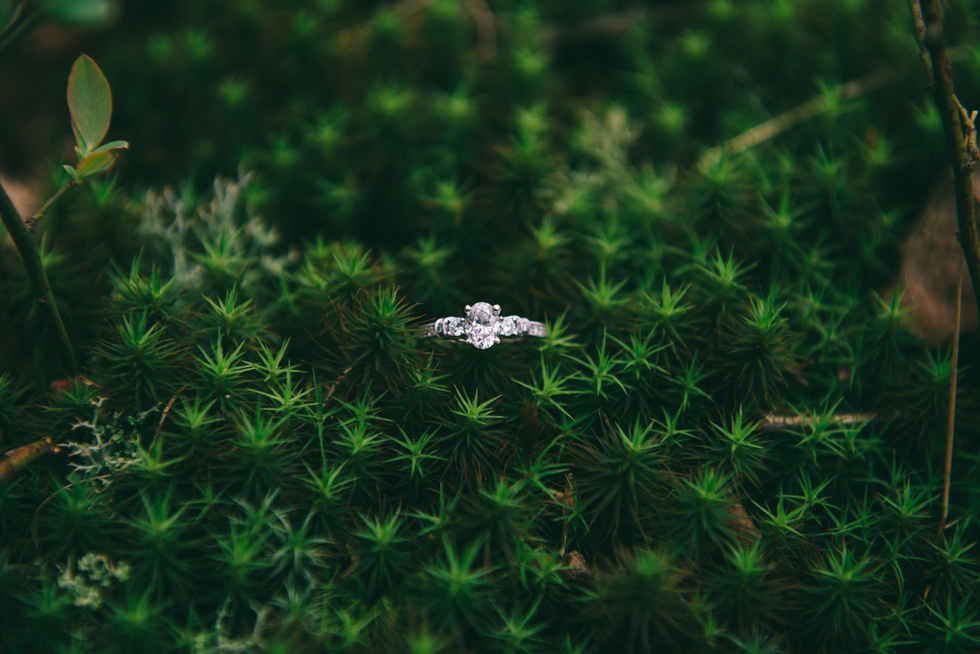 Natural Falls State Park Engagement