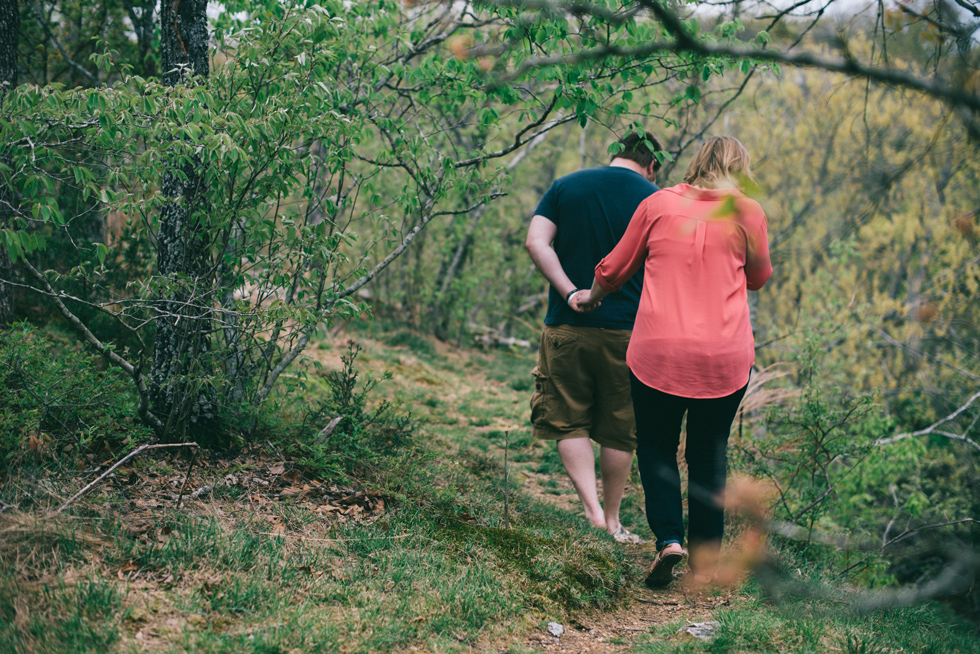 Natural Falls State Park Engagement