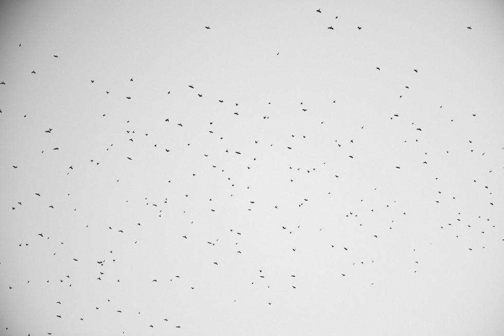 Engagement Downtown Tulsa