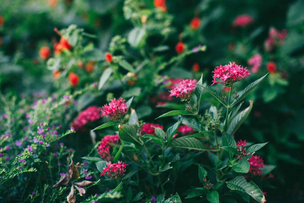 Harper & Copper Rooms Wedding