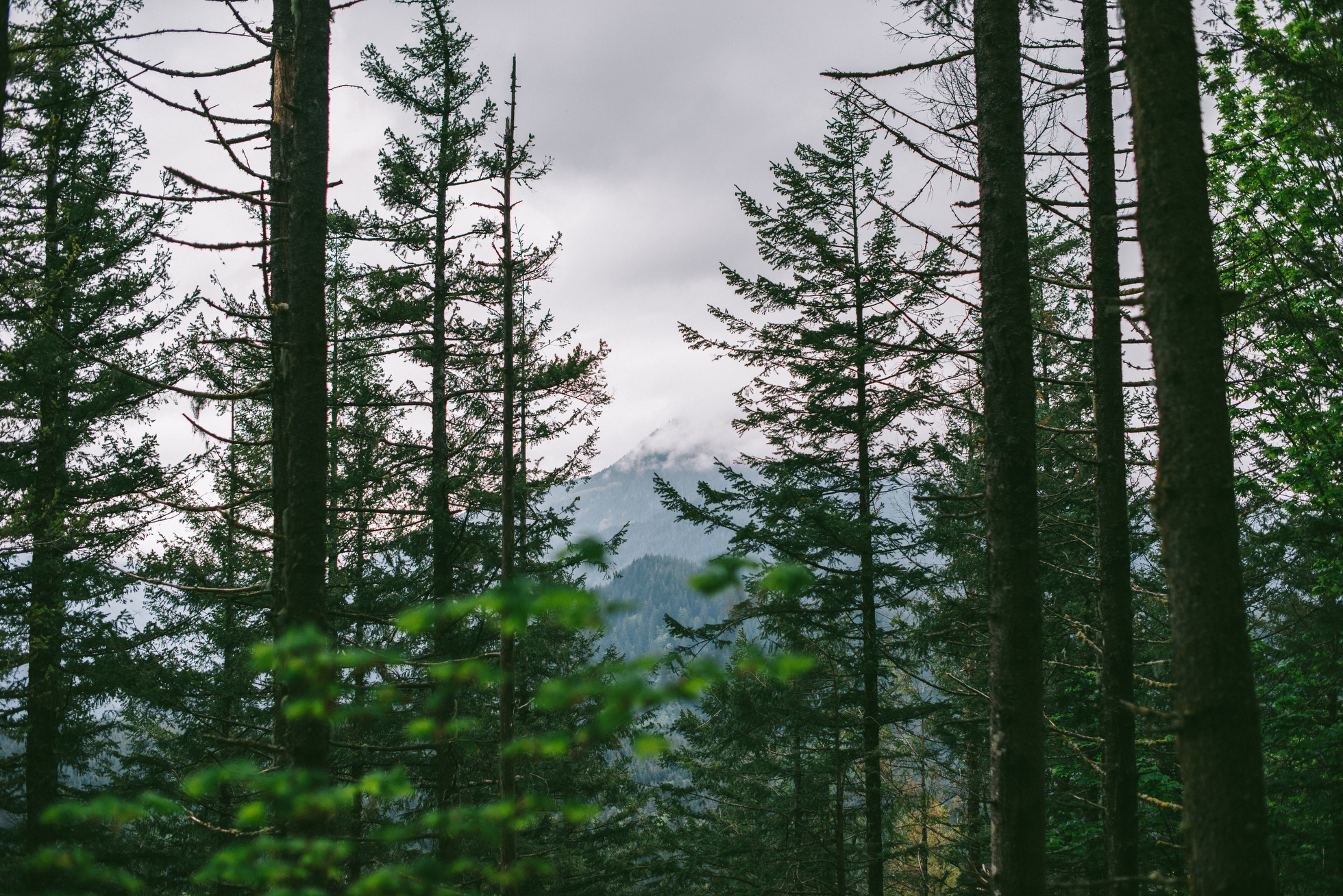 Rattlesnake Ledge Engagement