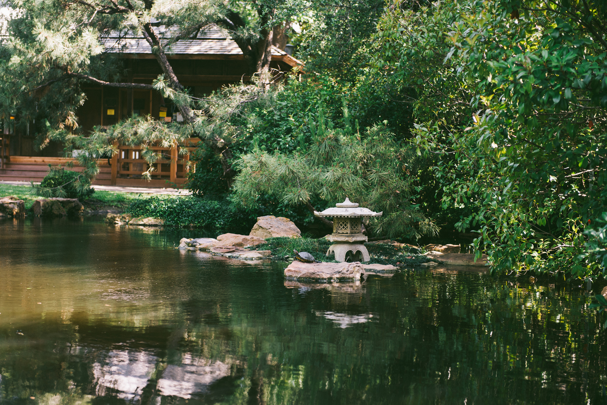 Fort Worth Japanese Garden Engagement Jarad Lindsey