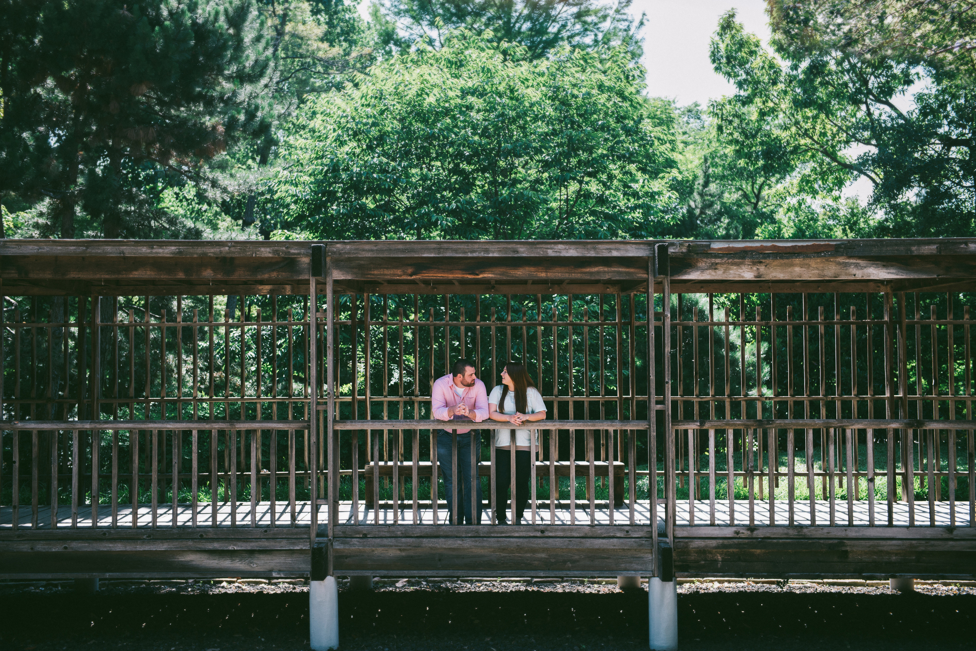 dallas fort worth engagement