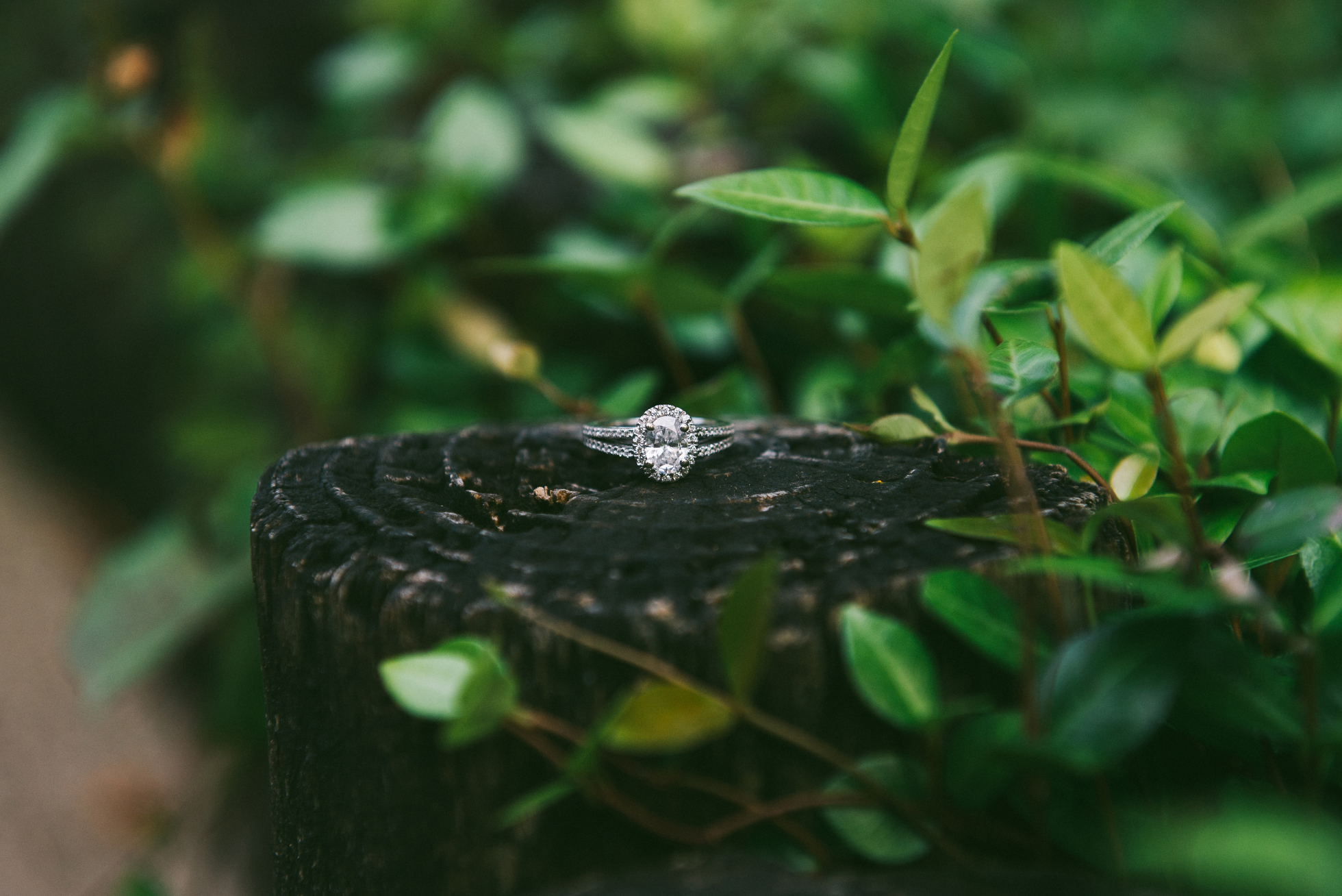 dallas fort worth engagement