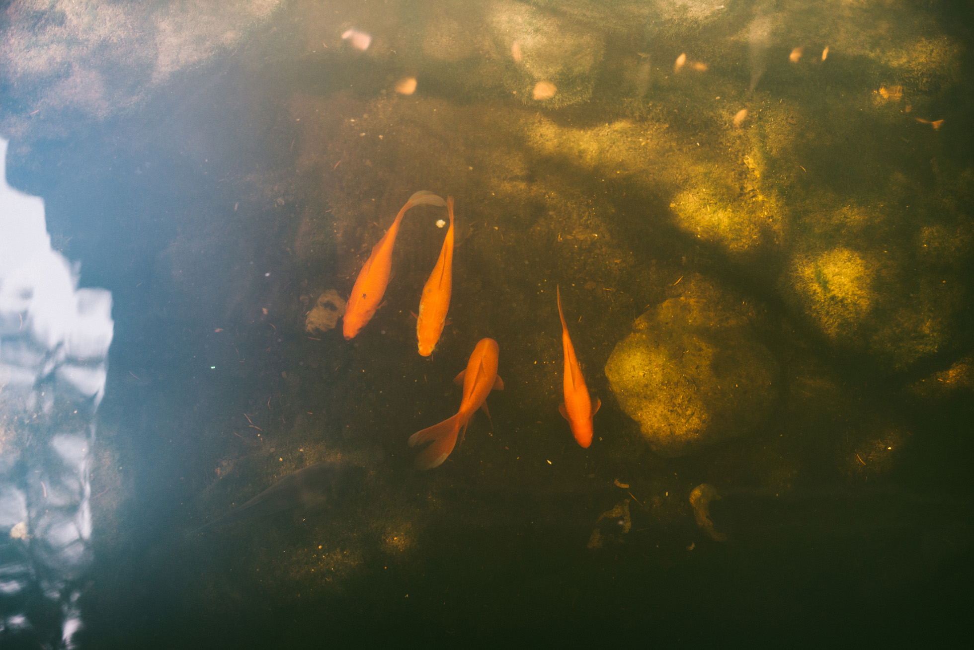 tulsa wedding photographer