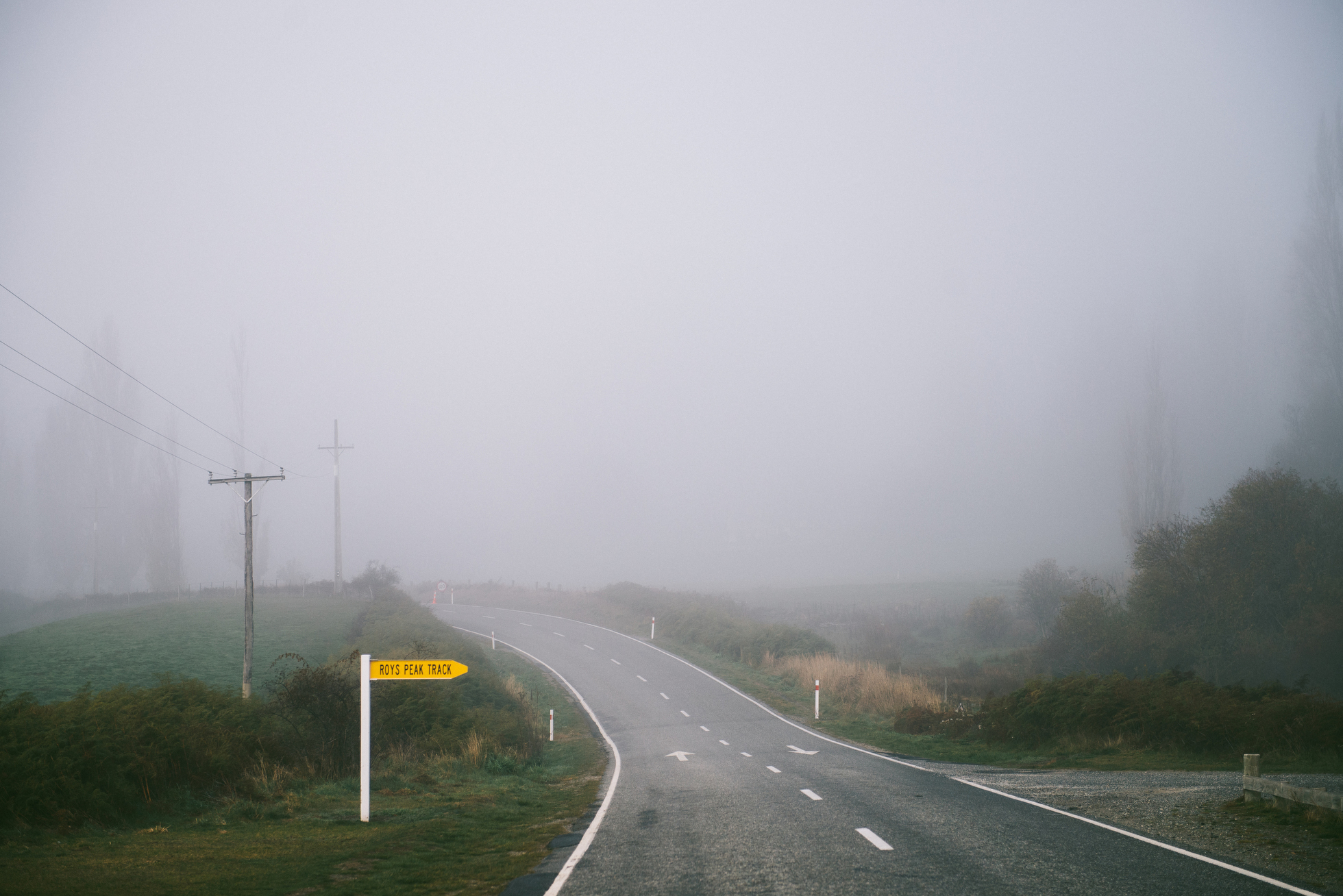 New Zealand Elopement