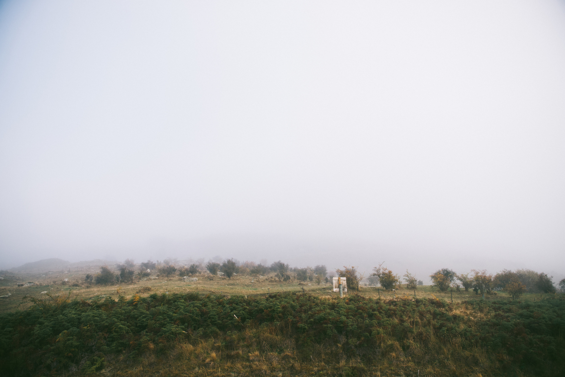 New Zealand Elopement