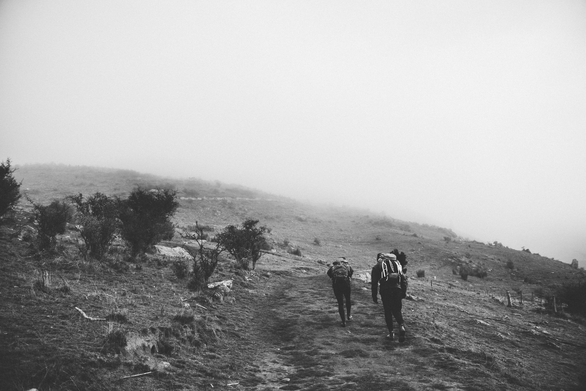 New Zealand Elopement