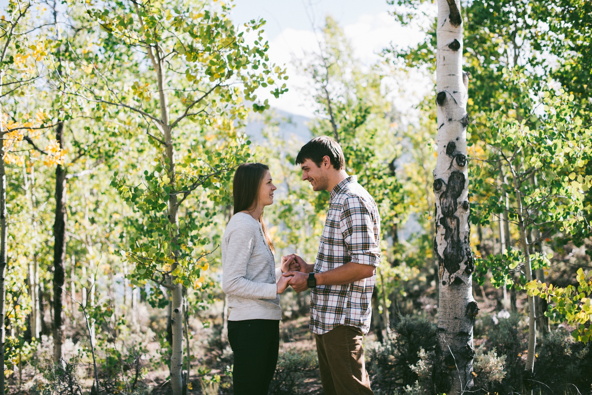 aspen engagement