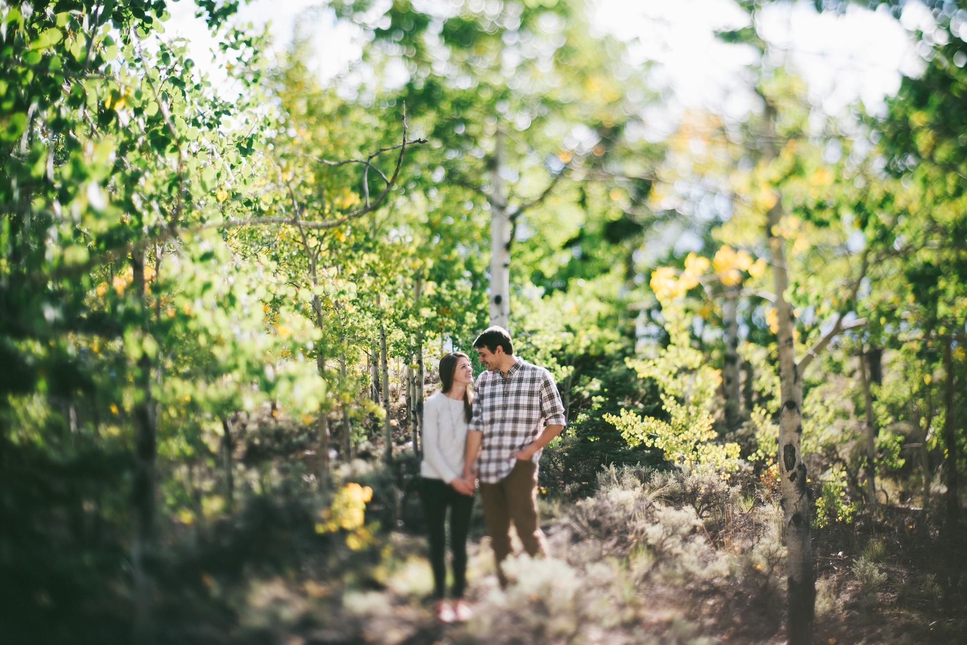 aspen engagement