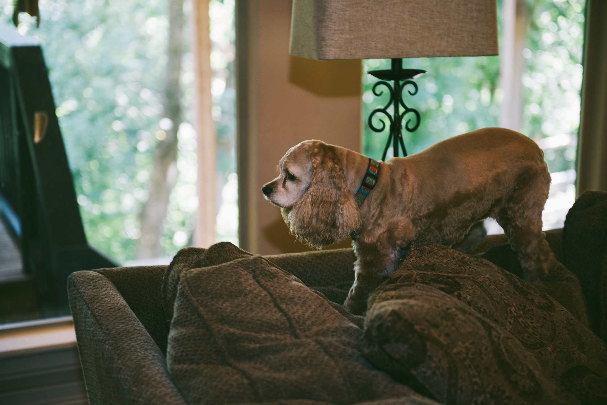 Camp Loughridge Wedding