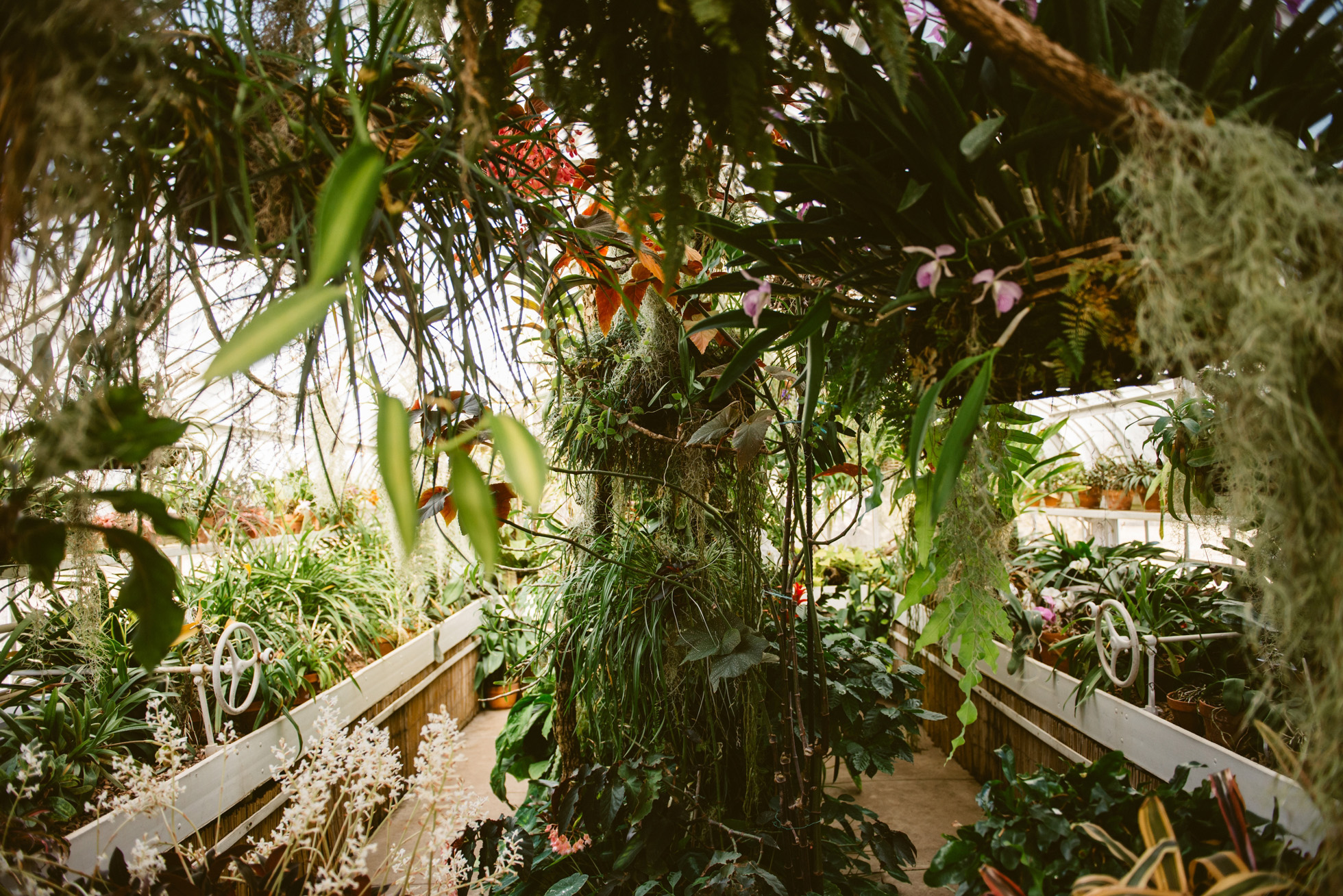 greenhouse engagement