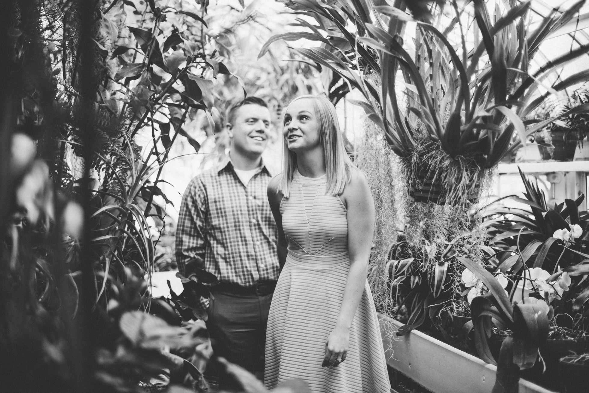 greenhouse engagement