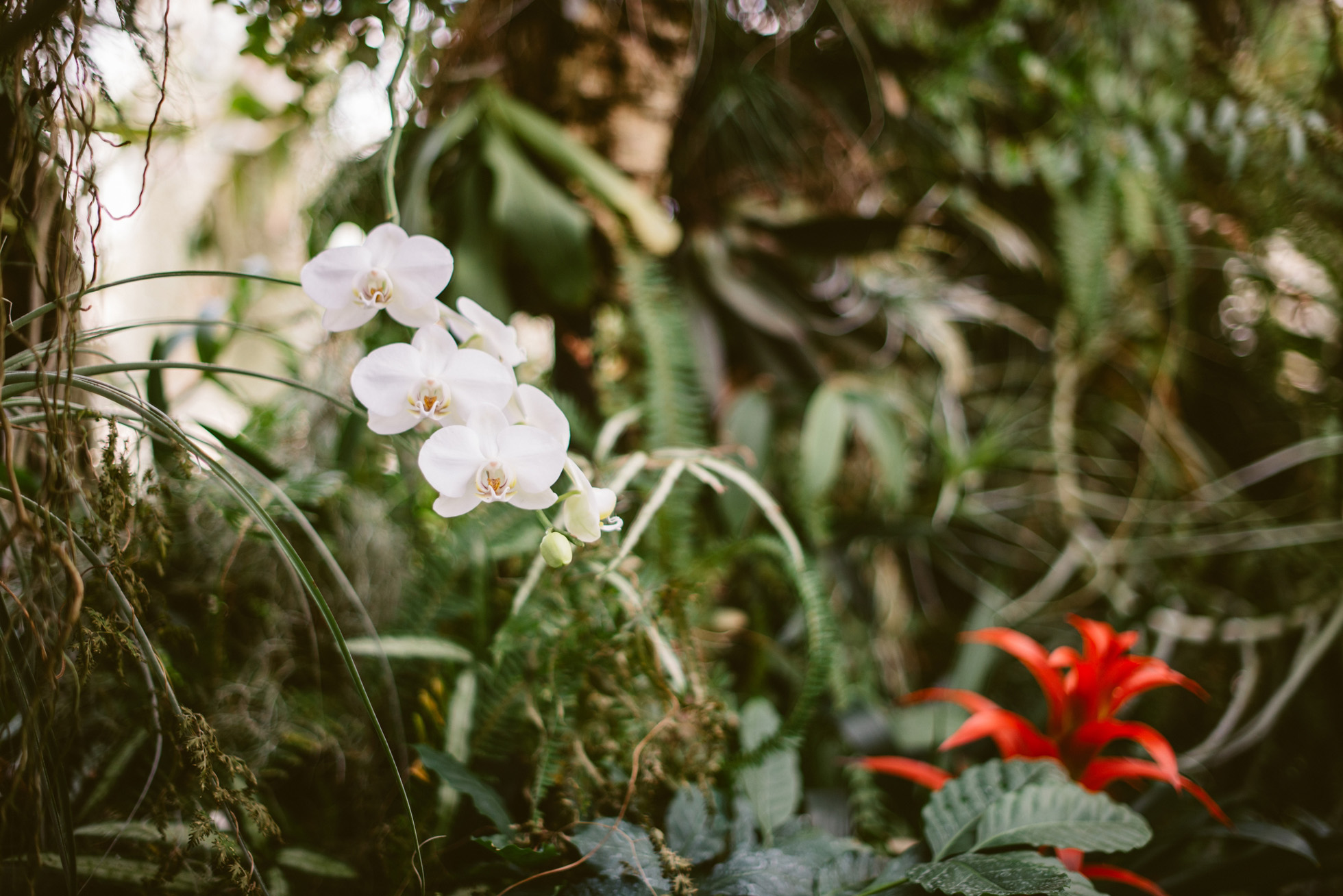 greenhouse engagement