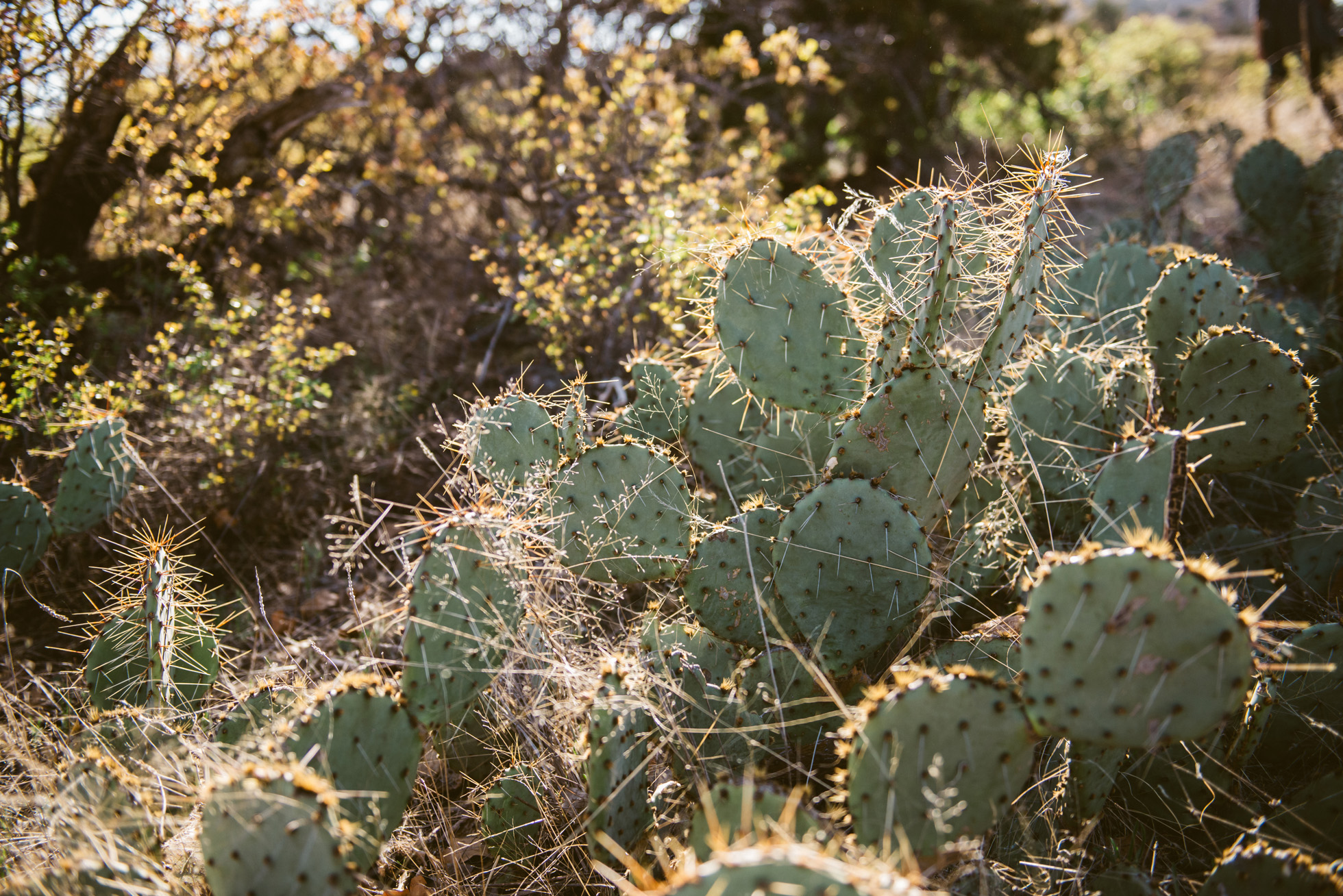 Wichita Mountains National Wildlife Refuge