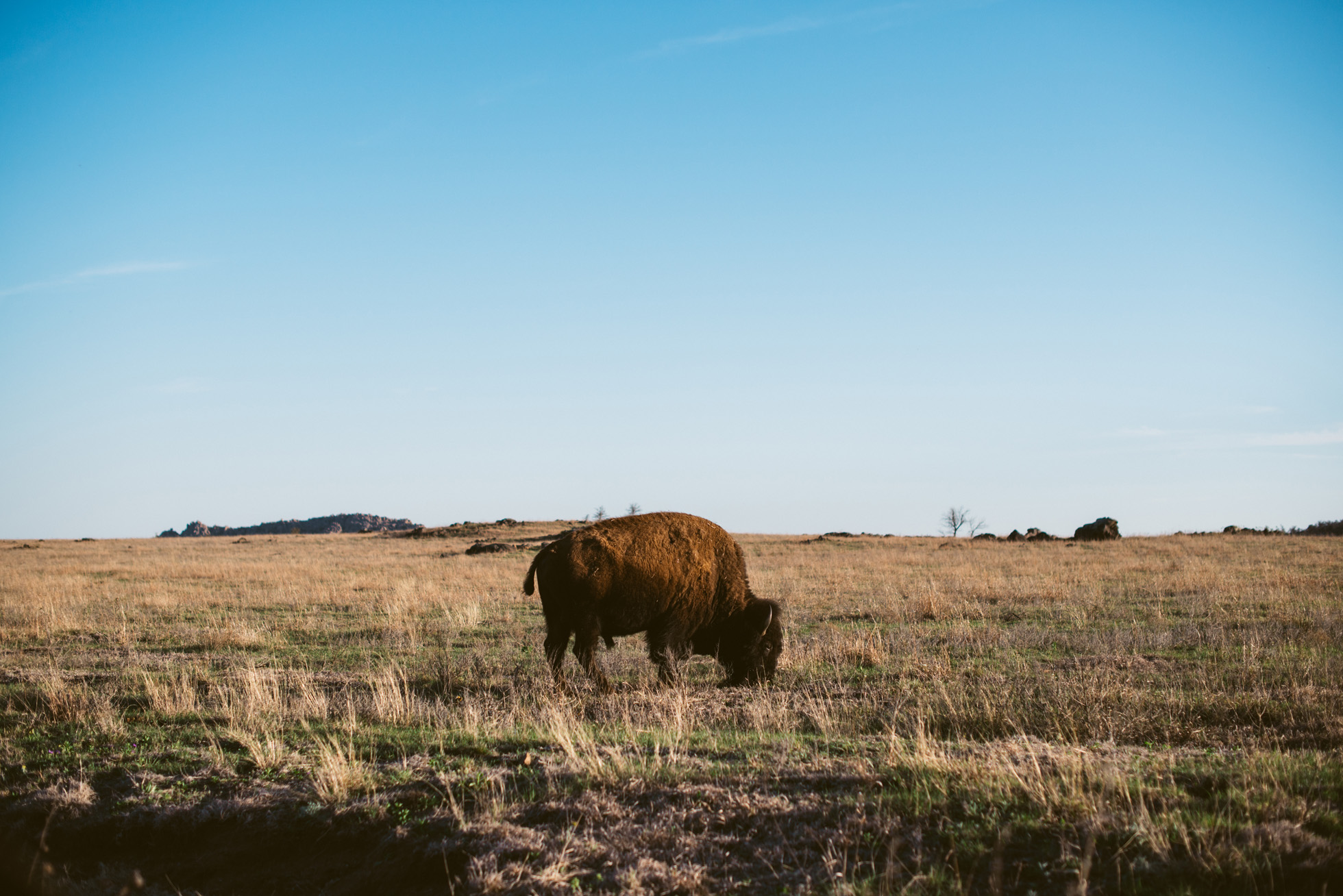 Wichita Mountains National Wildlife Refuge
