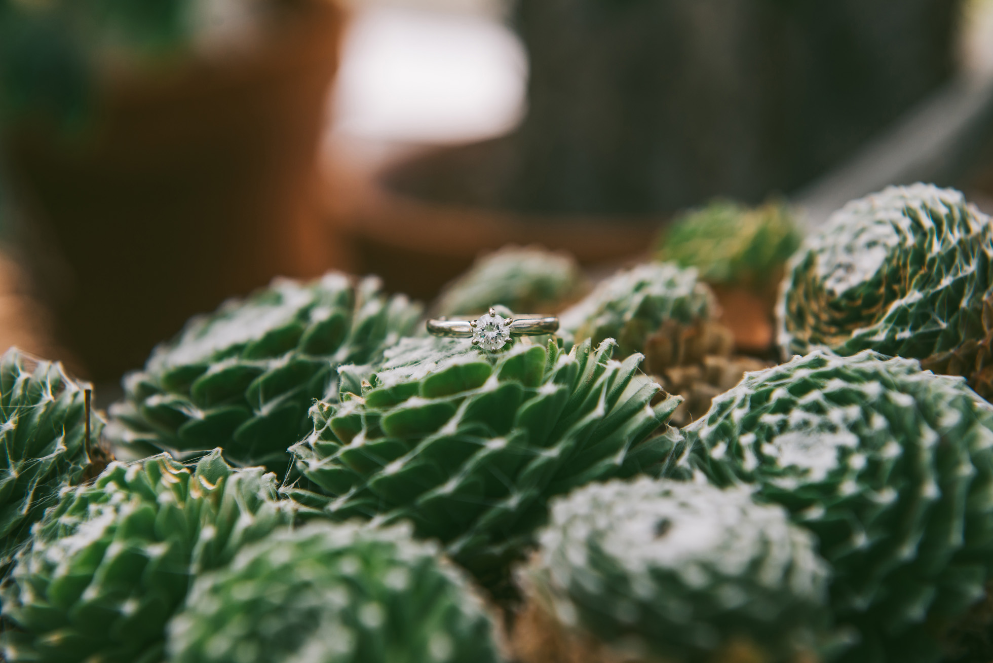 Tulsa Garden Center Engagement