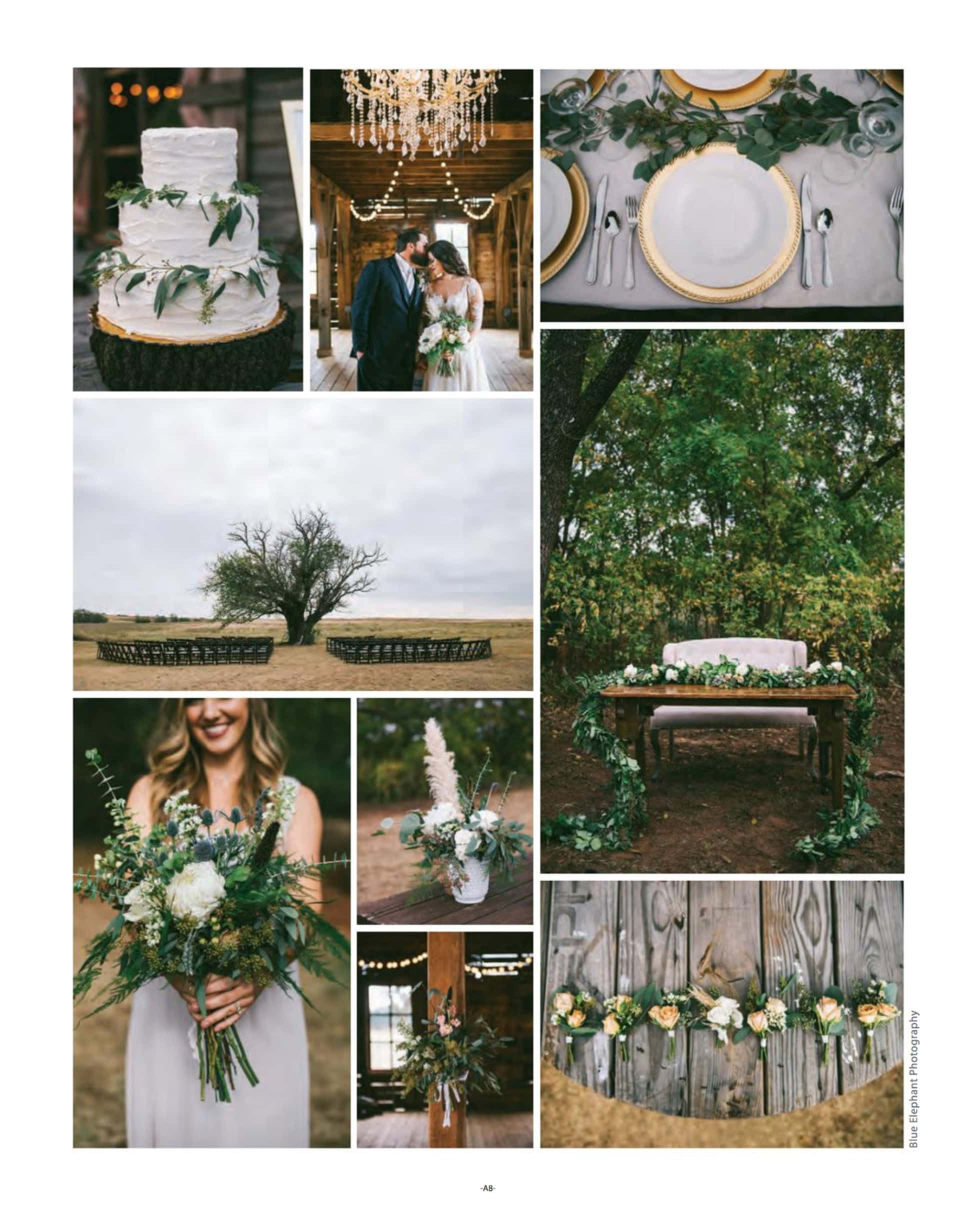 Brides of Oklahoma Wedding Photographer