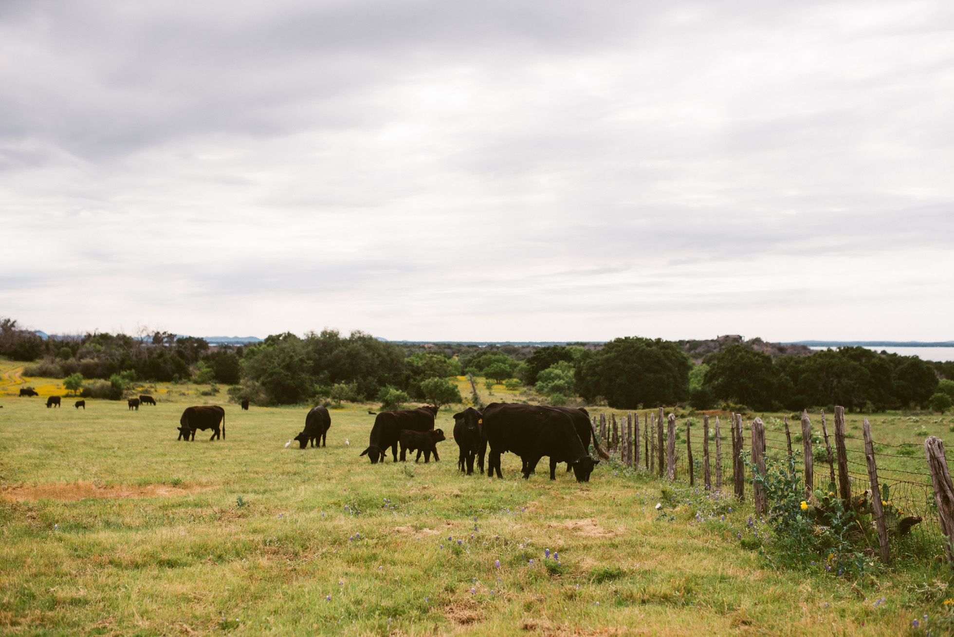 Intimate Texas Ranch Bohemian Wedding