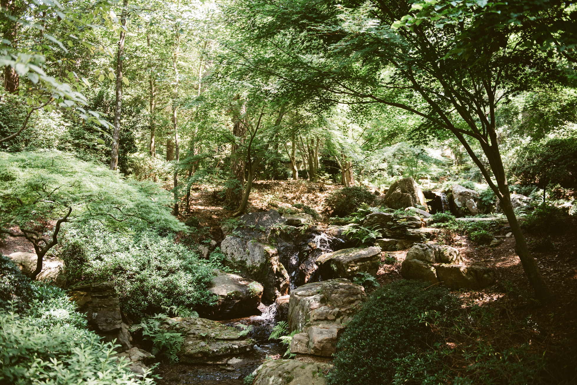 Garvan Woodland Gardens Arkansas Engagement