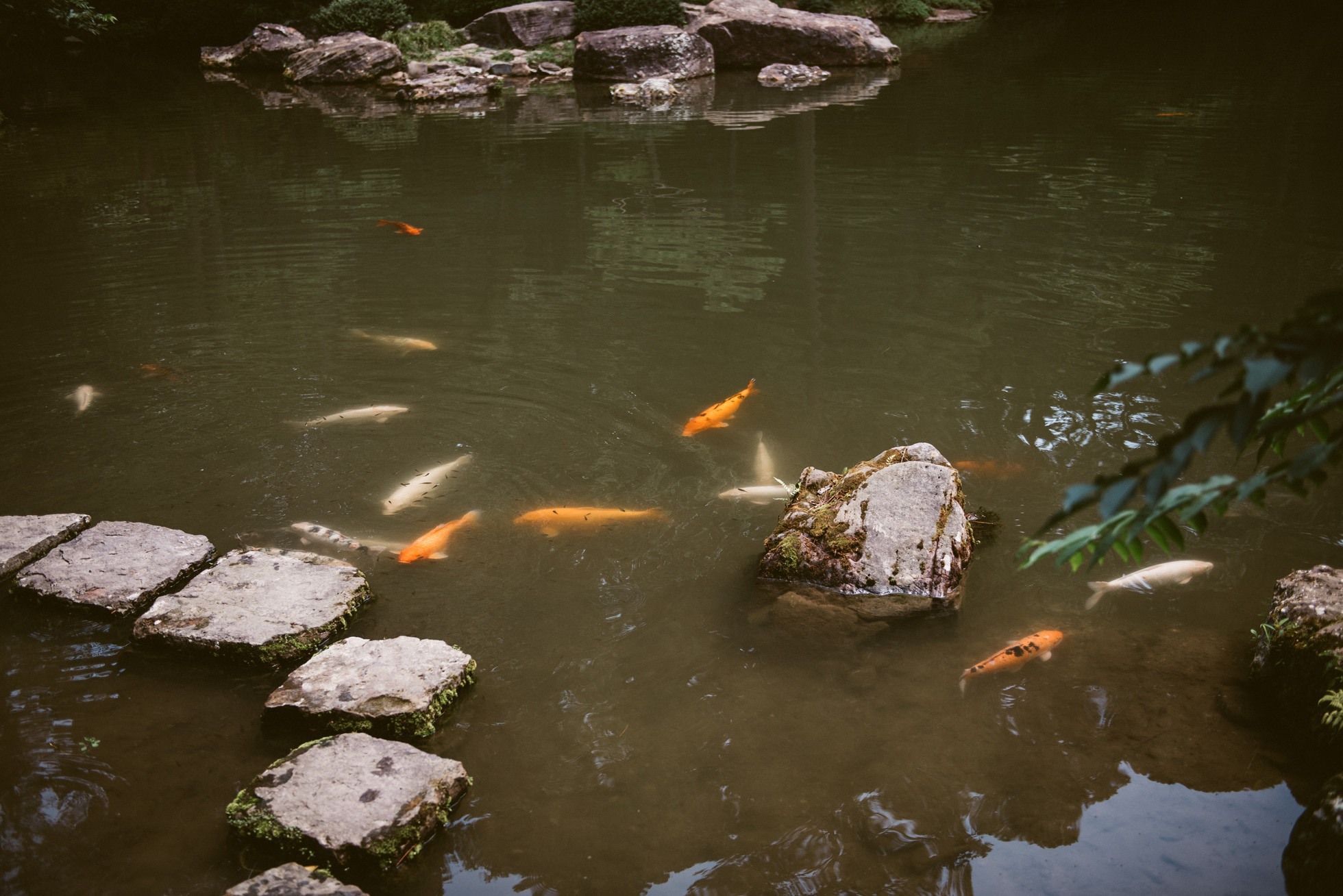 Garvan Woodland Gardens Arkansas Engagement
