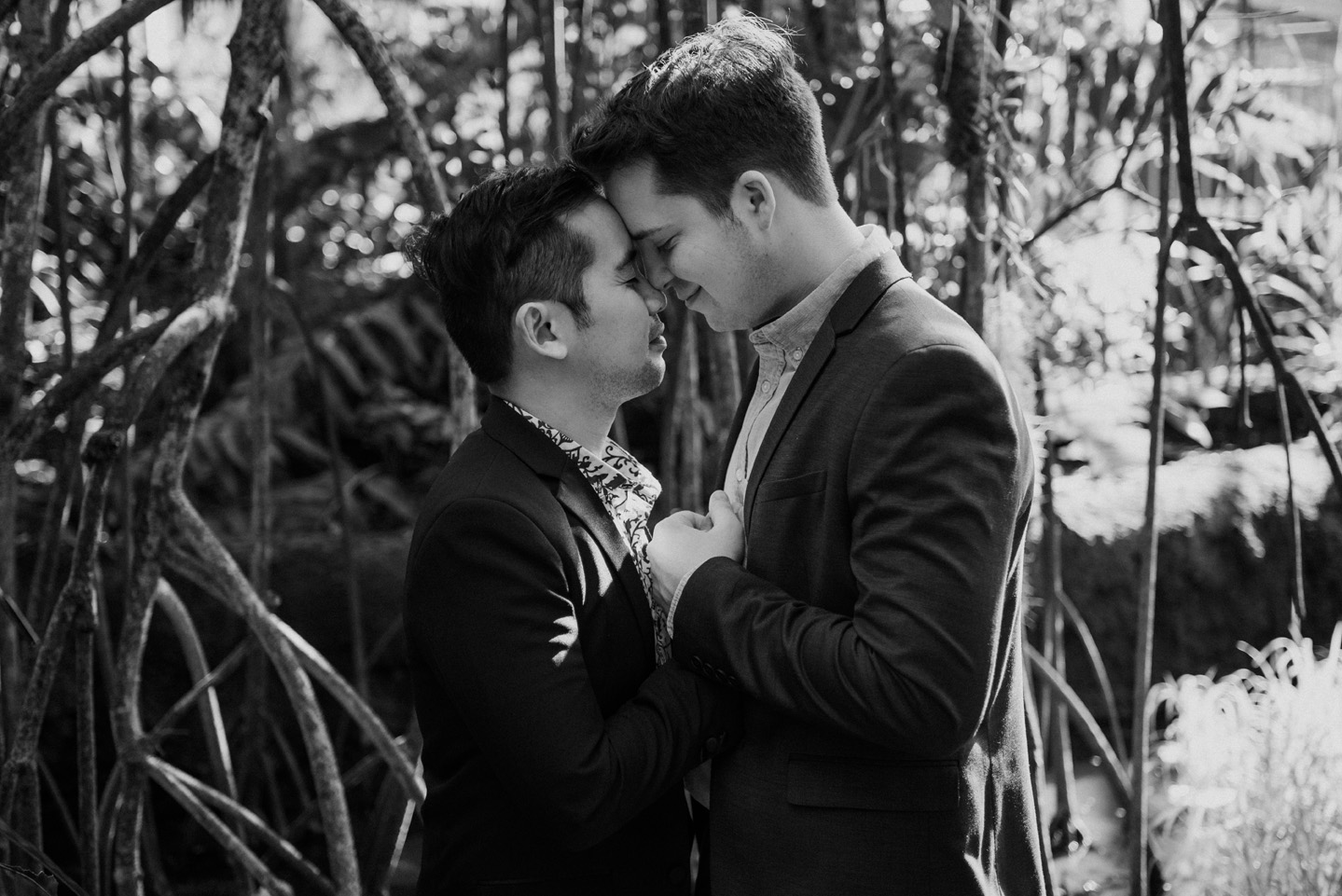 Forest Park St. Louis Engagement