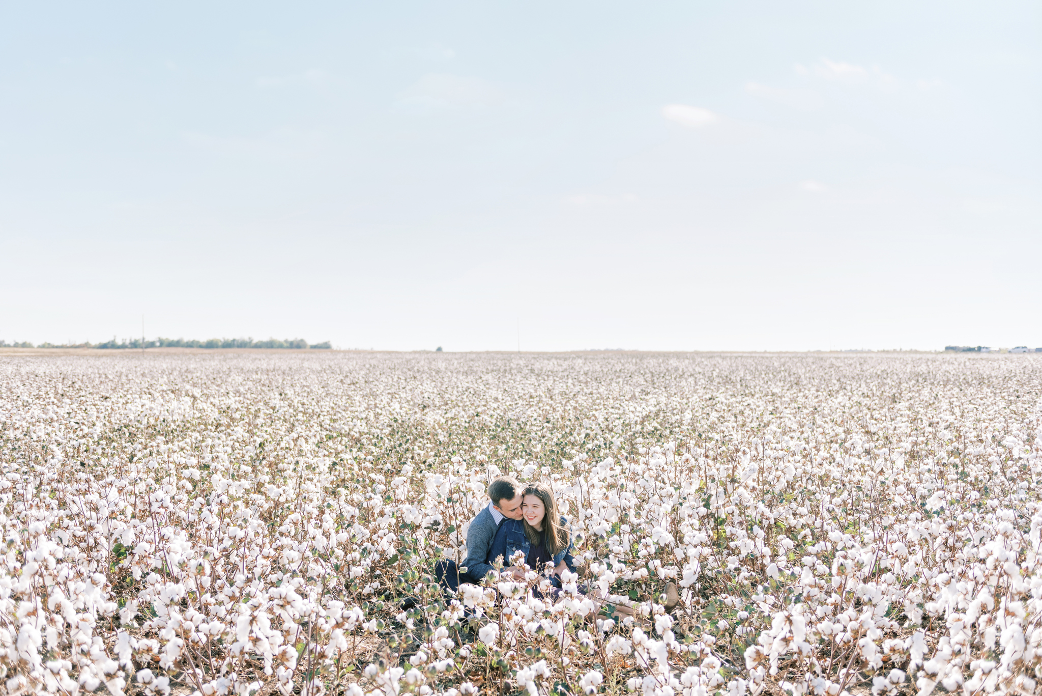 cotton field engagement