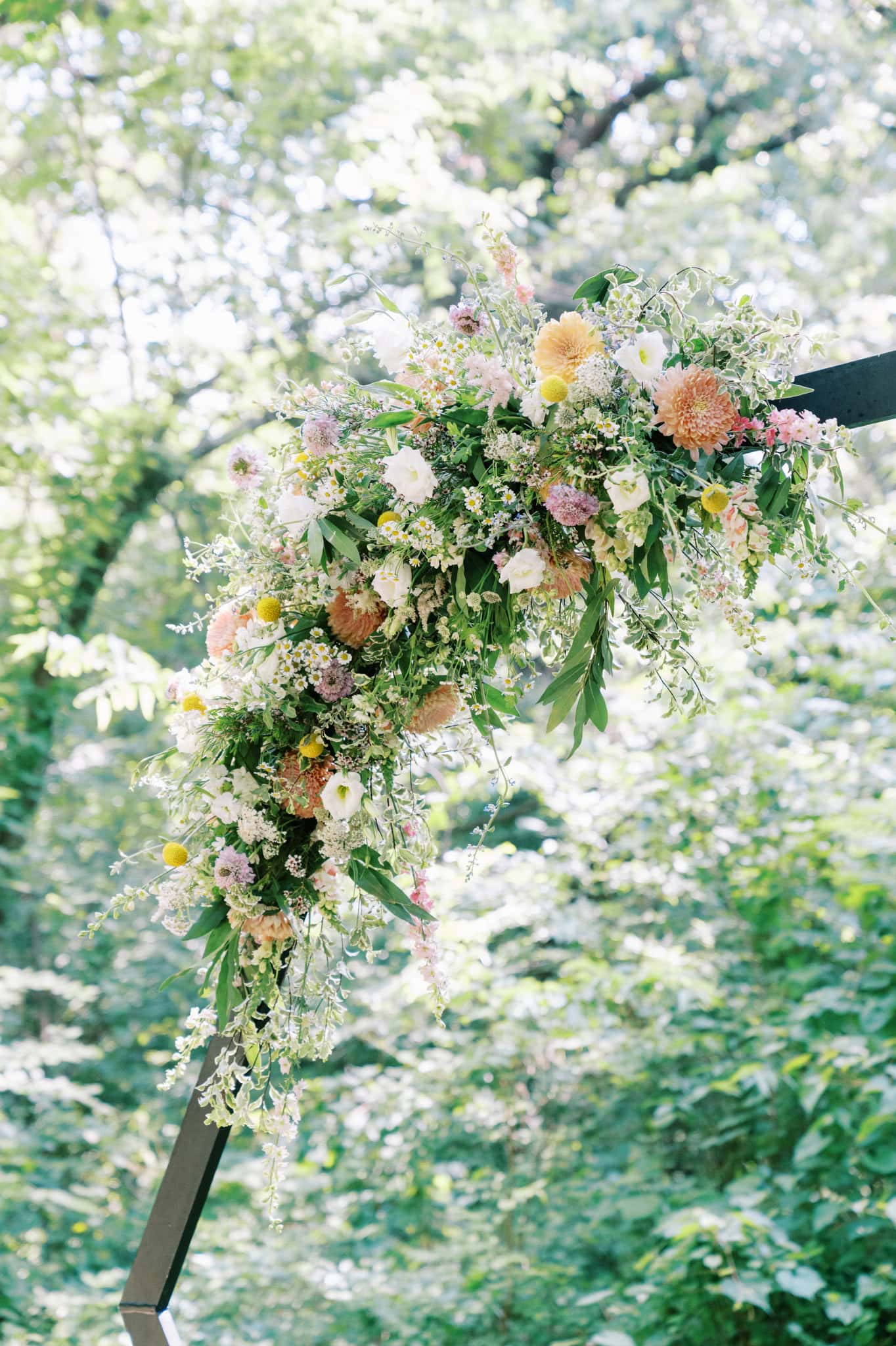 Wedding at Merrick Hollow