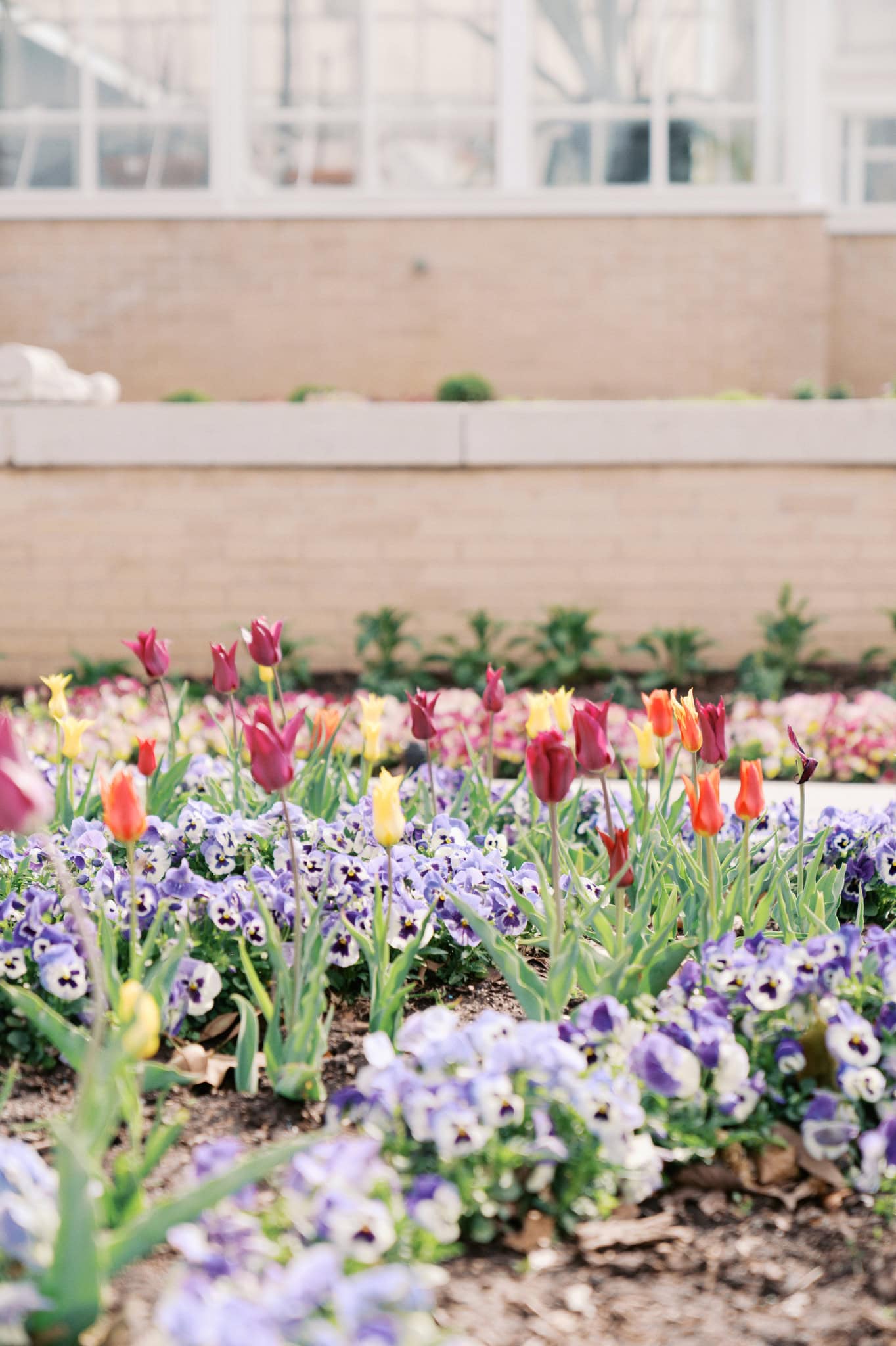 Tulsa Garden Center Elopement