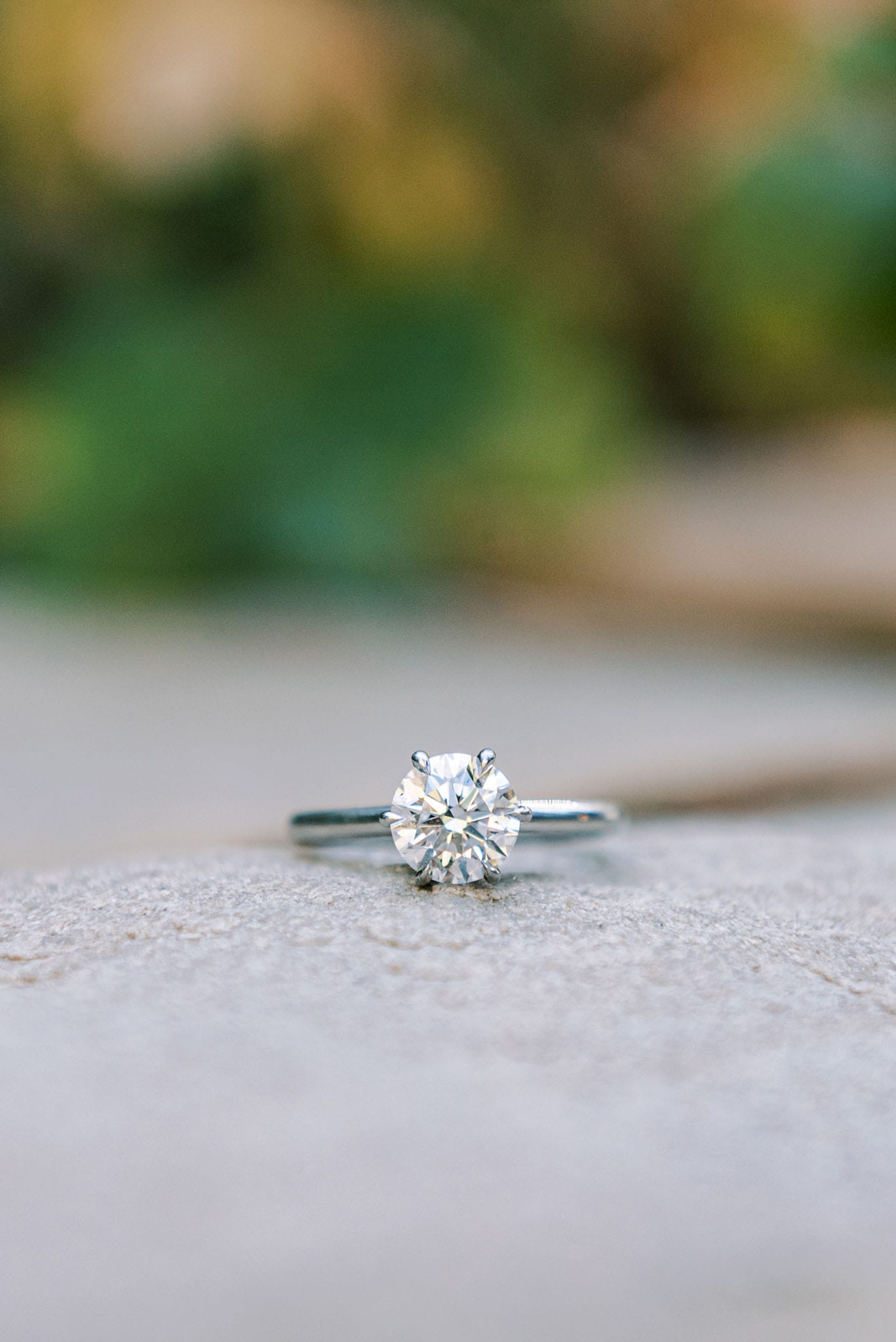Engagement Session at the Myriad Botanical Garden in Oklahoma City