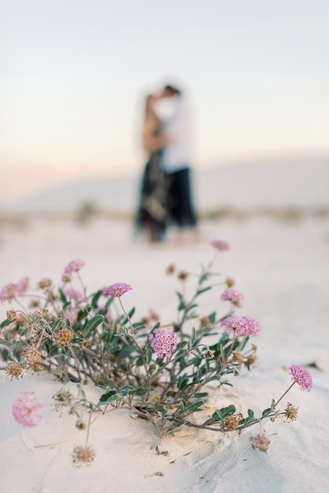 White Sands National Park Engagement Session