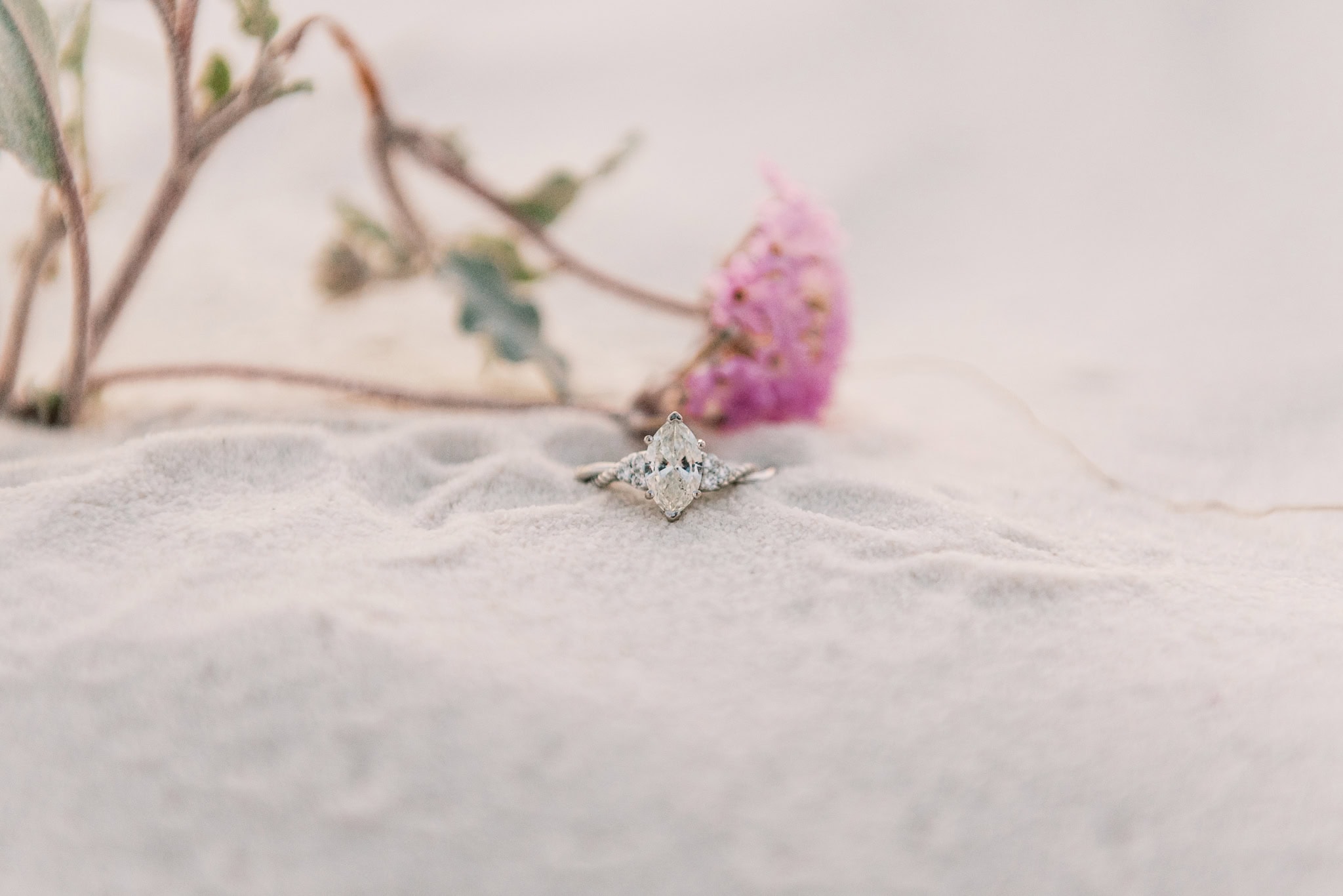 White Sands National Park Engagement Session