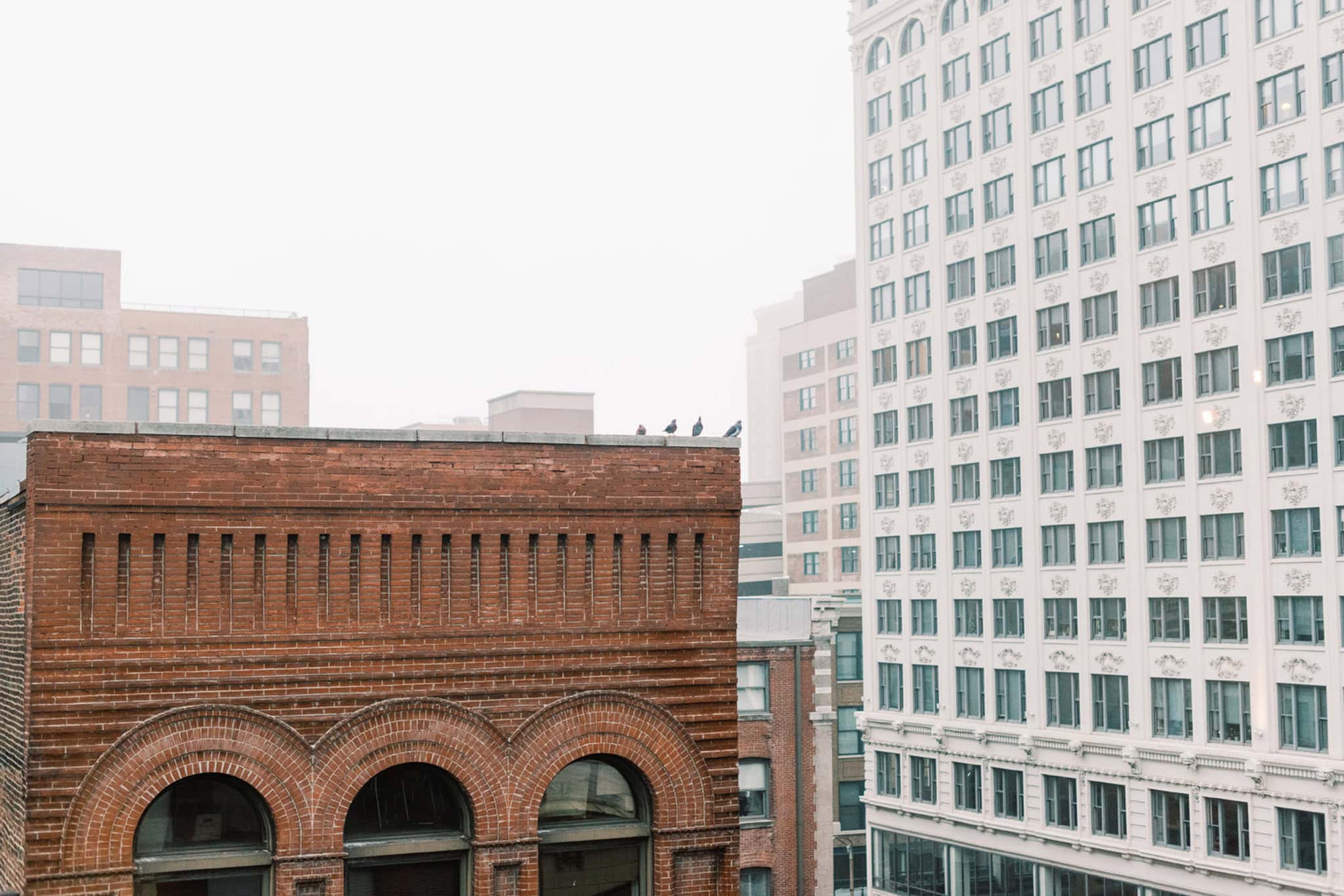 Wedding at Lafayette Square Park in St. Louis, Missouri