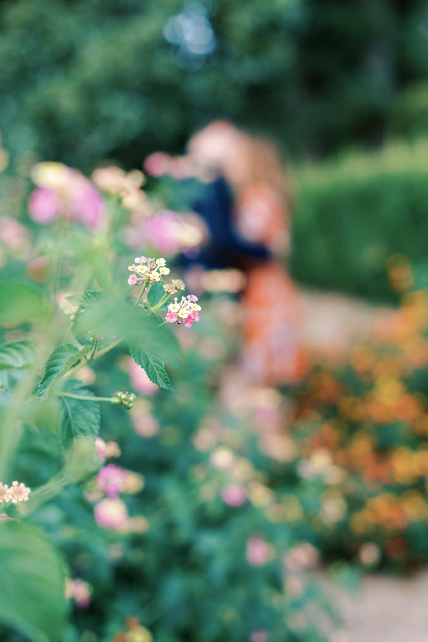 Engagement Session at the Mansion at Woodward Park in Tulsa, Oklahoma